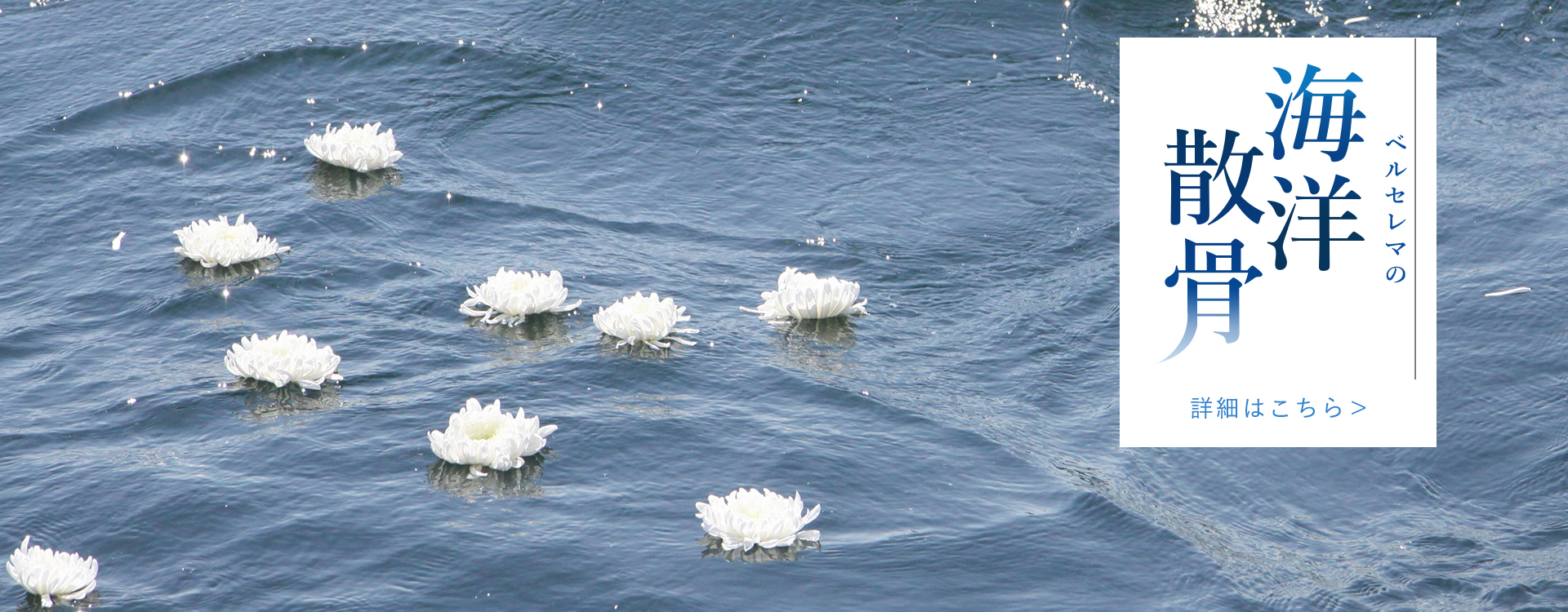 ベルセレマ | 葬儀 | 海洋散骨